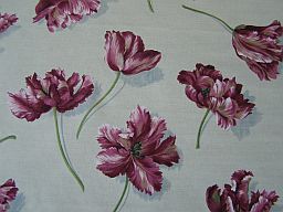 Canovas Tulip swatch